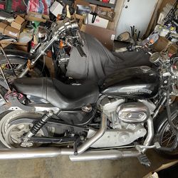 2006 Harley Davidson Sportster 883