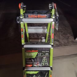 Little GIANT DARK HORSE 17FT 300 LB 