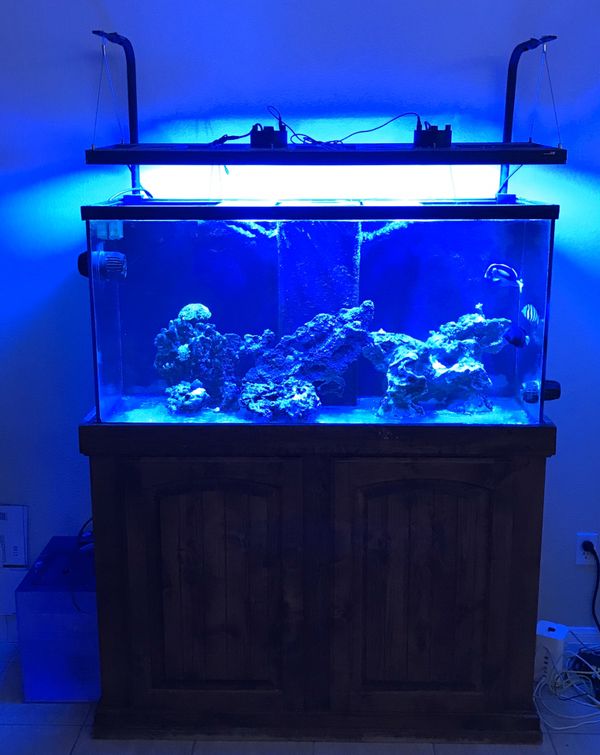 90gallon reef tank aquarium for Sale in Las Vegas, NV OfferUp
