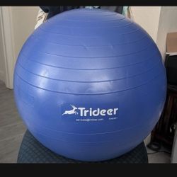 Brand New Large Exercise Ball With Pump ( Never Used ).