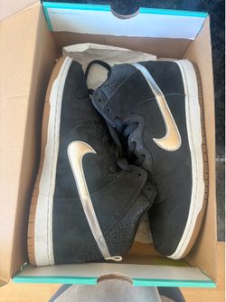 OBO Nike sb dunk high Nigel Sylvester