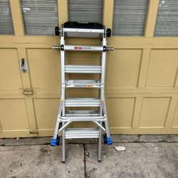 Folding Ladder 