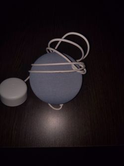Nest mini speaker