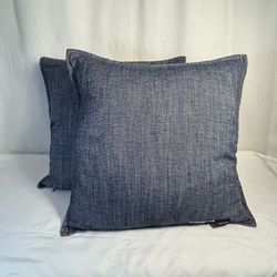 (2) Dwell Studios Throw Pillows