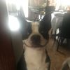 Ben