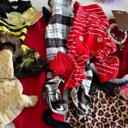Small Dog Clothes