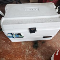 Cooler