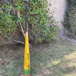 Bbcor Pencil Bat 