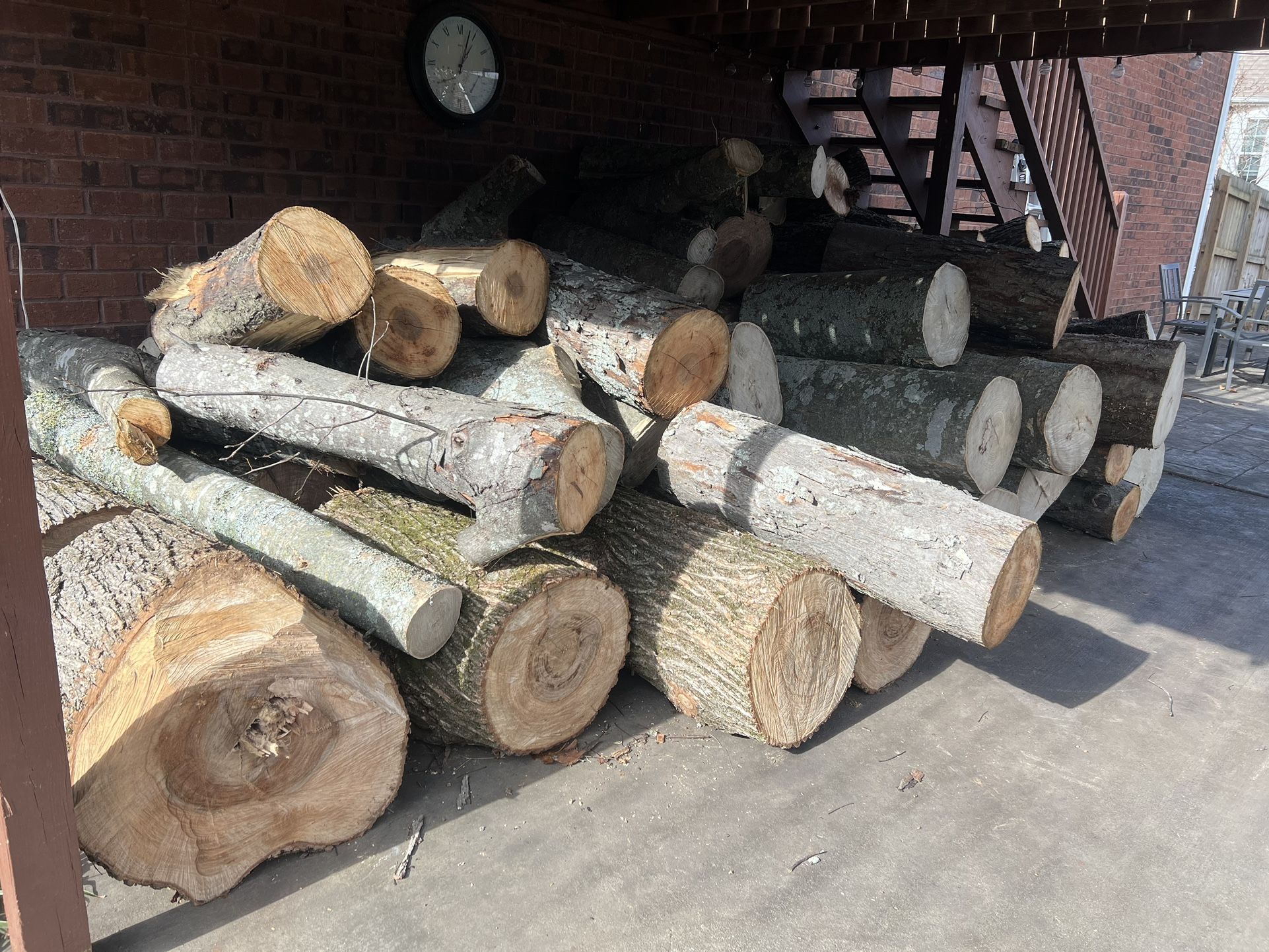 Tree Wood