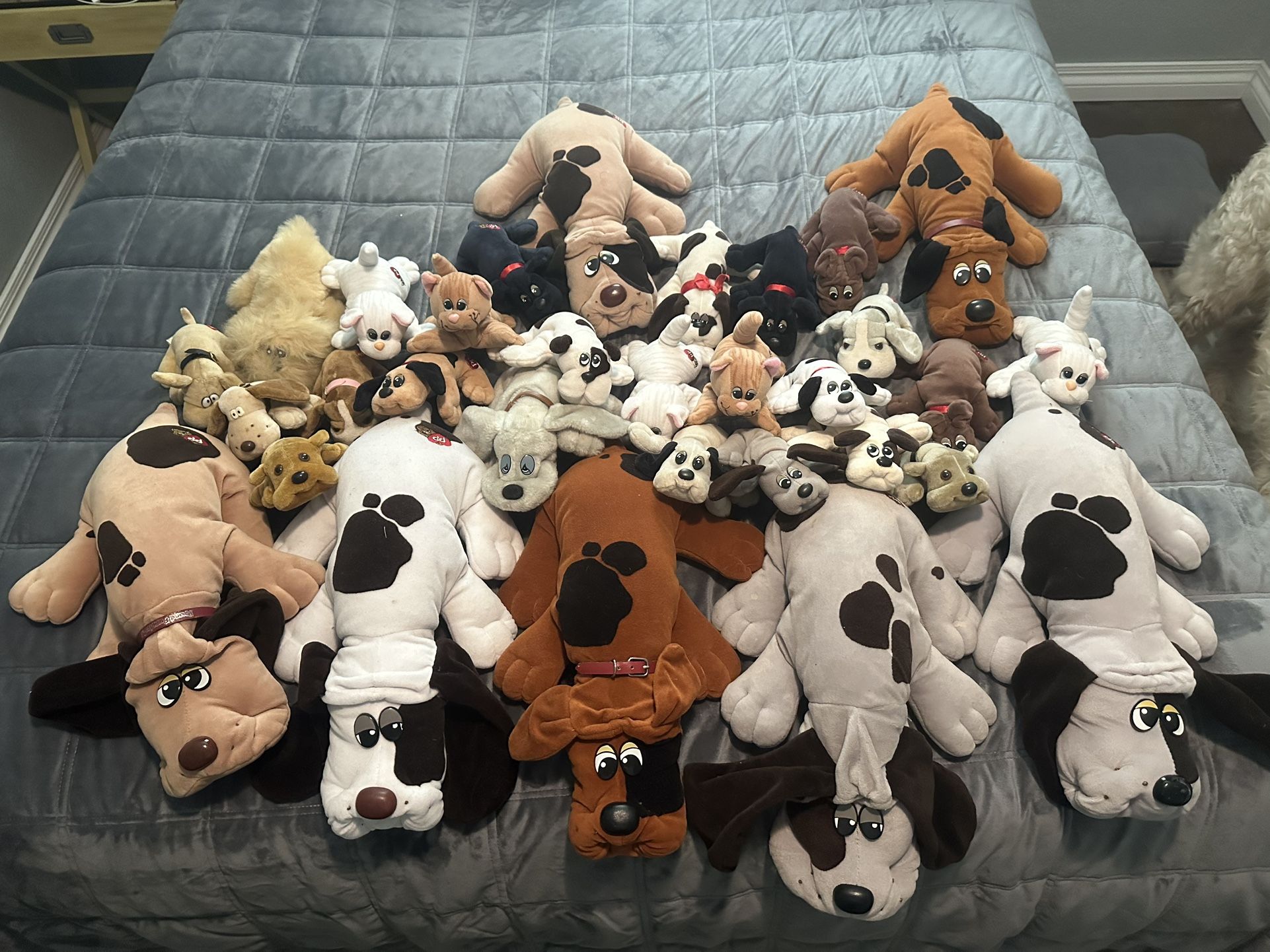 Vintage pound puppies