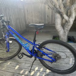 Specialized Hotrock 24 8-Speed Kids’ Bike – Excellent Condition