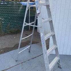 6ft Ladder 