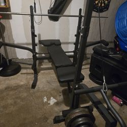 Weight Bench