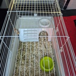 Nice Used Rabbit Cage. 