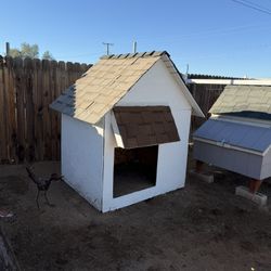 Huge Dog House