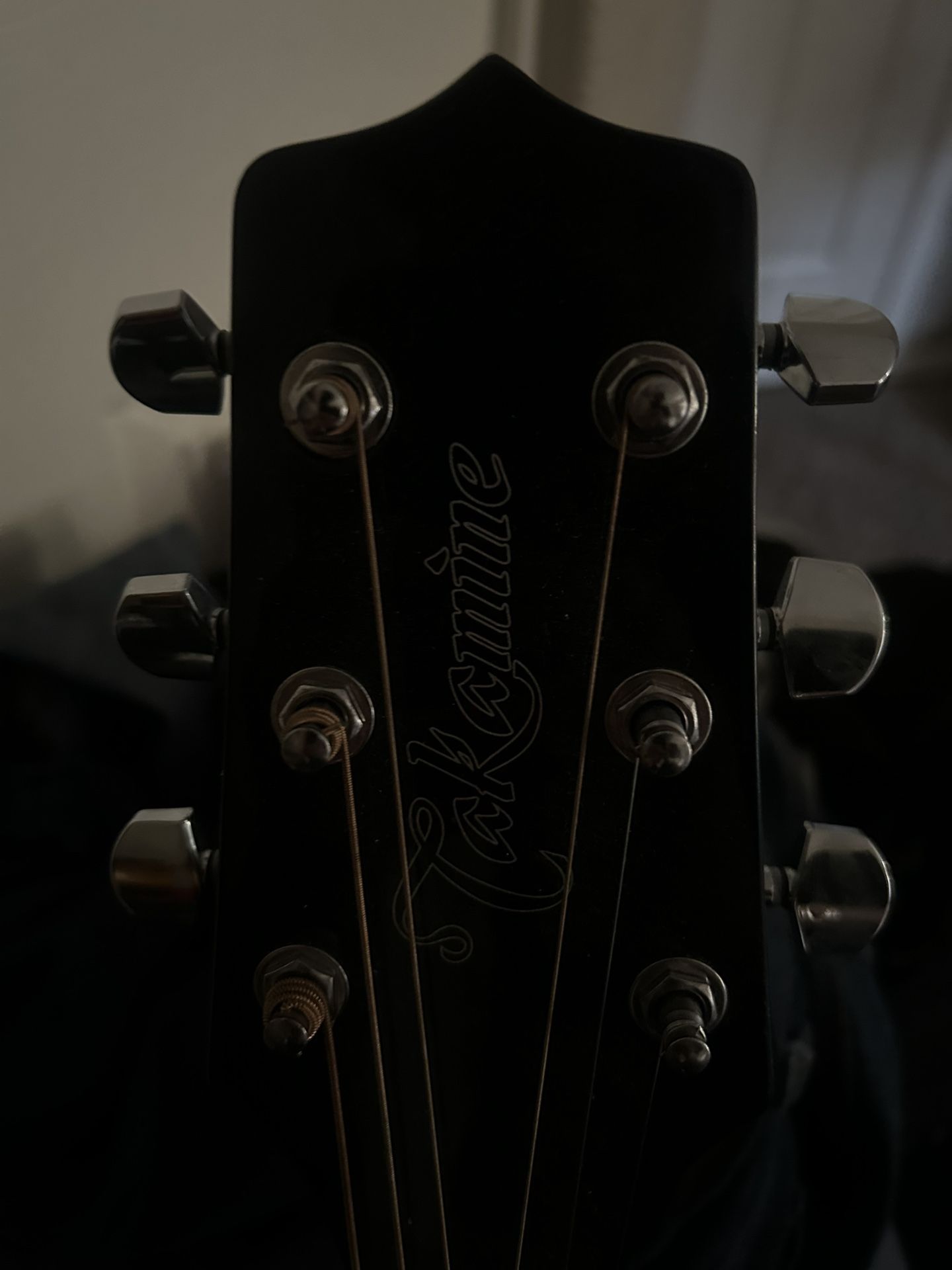 TAKAMINE guitar