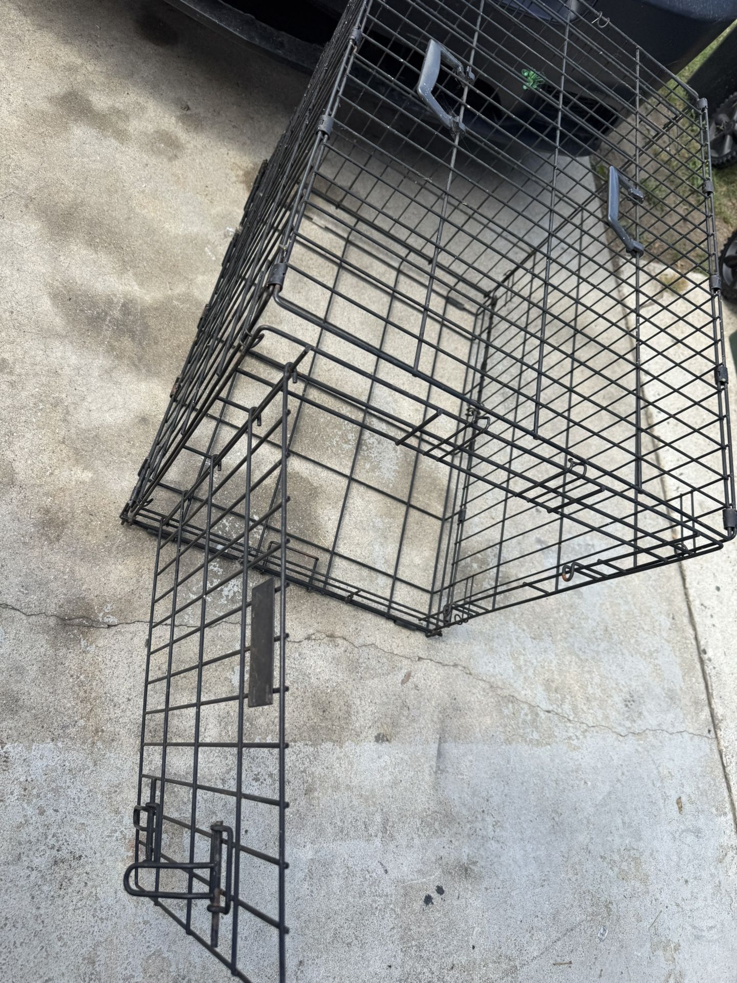 LG Dog Kennel