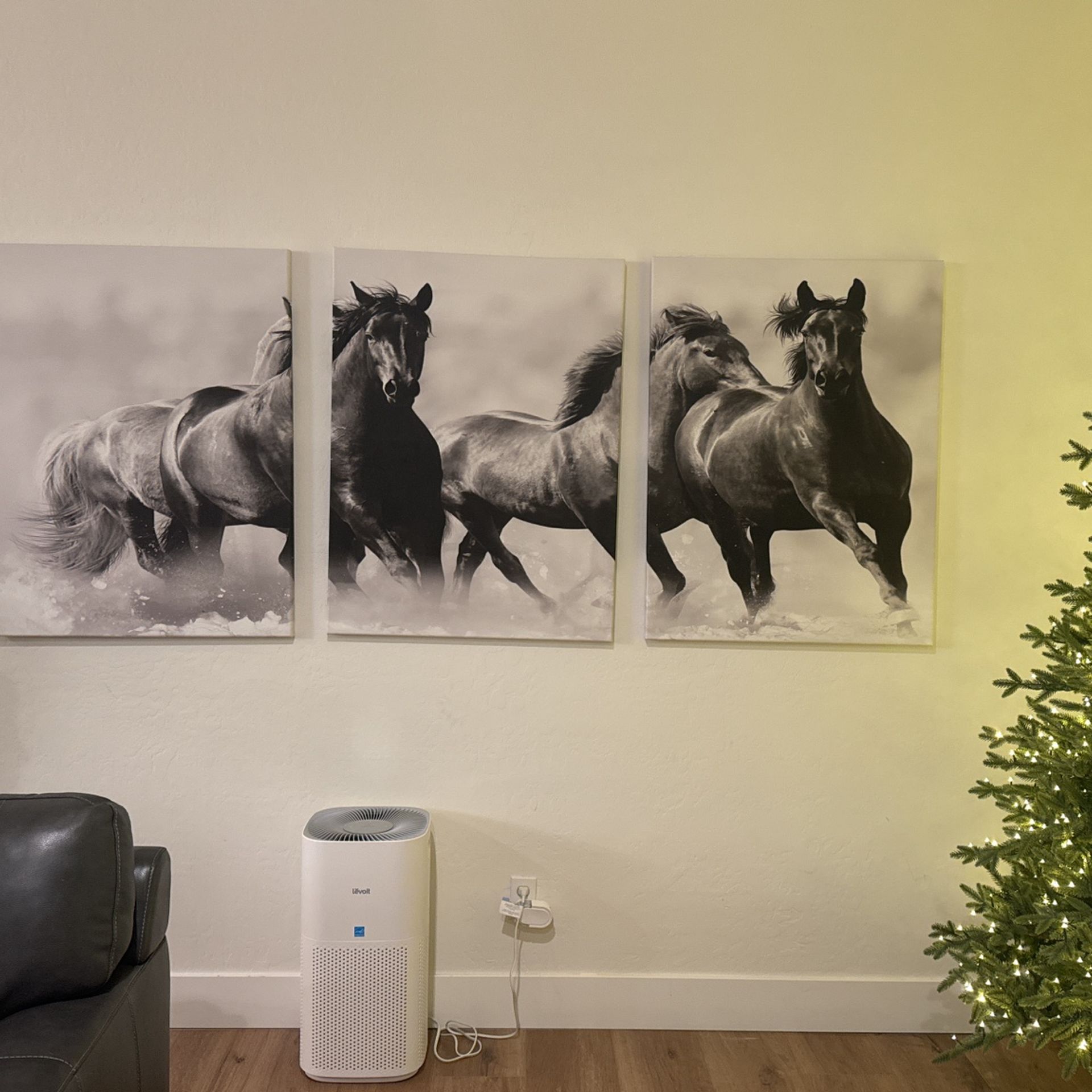 Wall Art 3 Pieces Black & White Horses Running Western Country