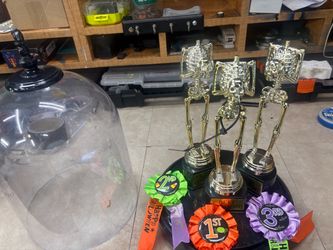 Contest Trophy Set