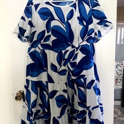 Women's Size 1X Dress