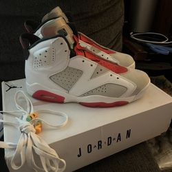 Jordan 6s