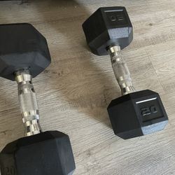 20 Pound Dumbbell Set 