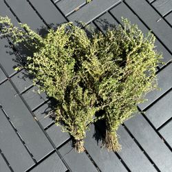 Dried Organic Thyme 