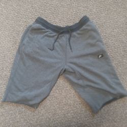 Nike Shorts Blue Gray