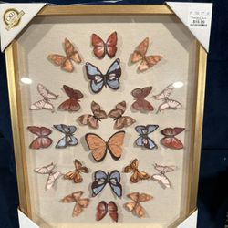 Butterfly Collage Picture