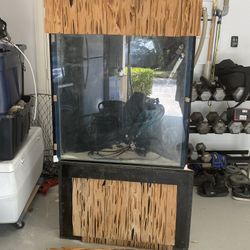 Custom 90 Gallon Aquarium