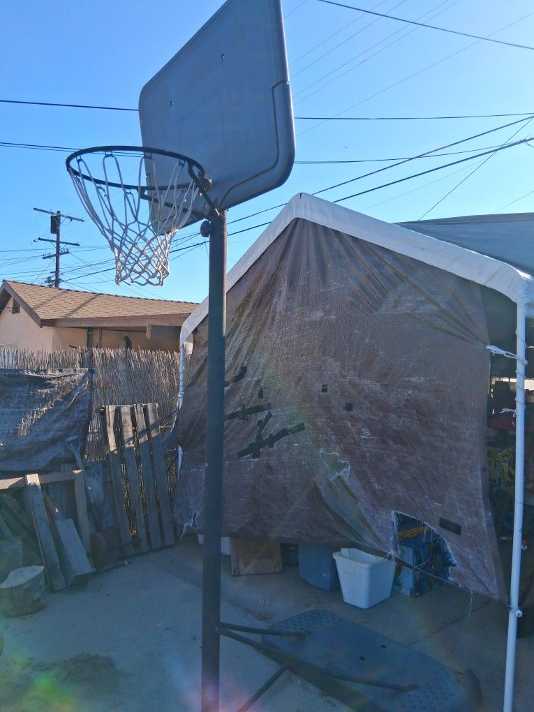Lifetime Basketball Hoop Stand Outdoor