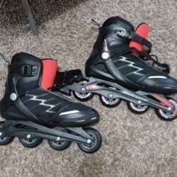 Roller Skates 