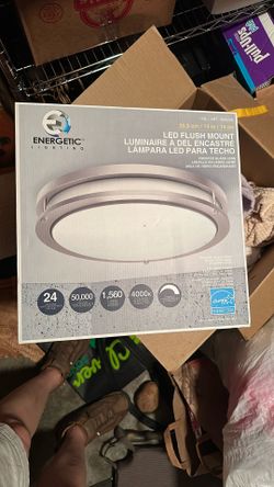 Costco Energetic 14” LED Flush Mount Light