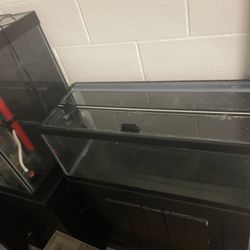 20 Gallon Full Set Up