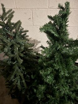 Christmas trees