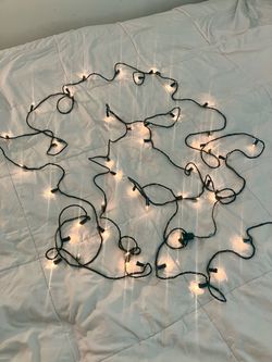 50 Light Party String - 9’ Long