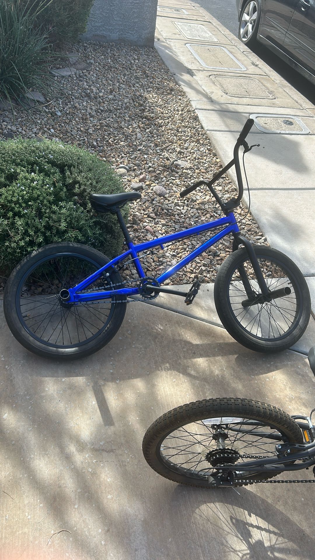 Elite BMX Bike