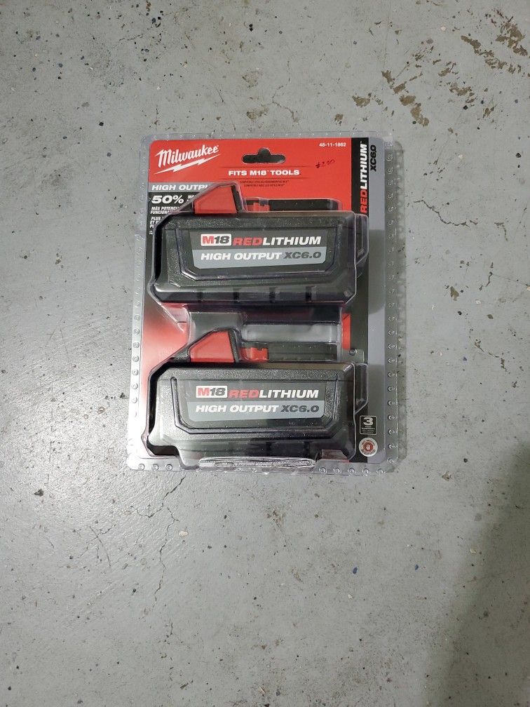 Milwaukee Battery's