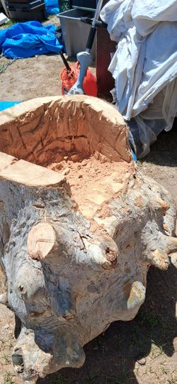 Wooden tree stumps for potted plants