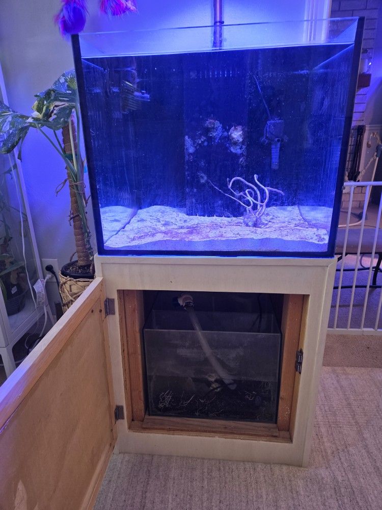 50 Gallon Reef Tank With Sump