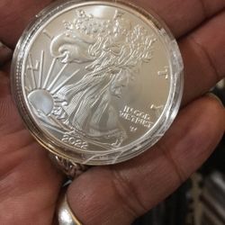 2022 Silver Eagle