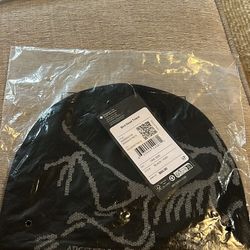 Arc’teryx beanie