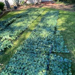 Ivy Privacy Panels