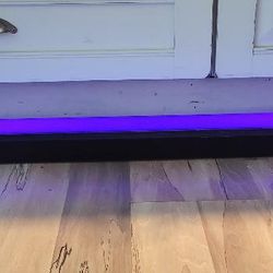 4ft Blacklight Lamp