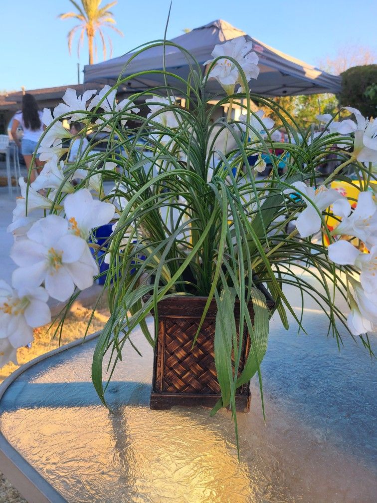 Artificial Plant Decoration