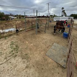 Horse Stalls 