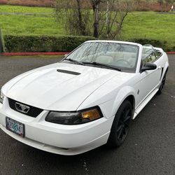 1999 Ford Mustang
