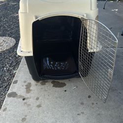 Large Petco Dog Crate