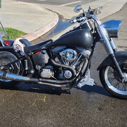 She’s gorgeous, powerful… and a little out of my league.🏍️✨💀🏍️