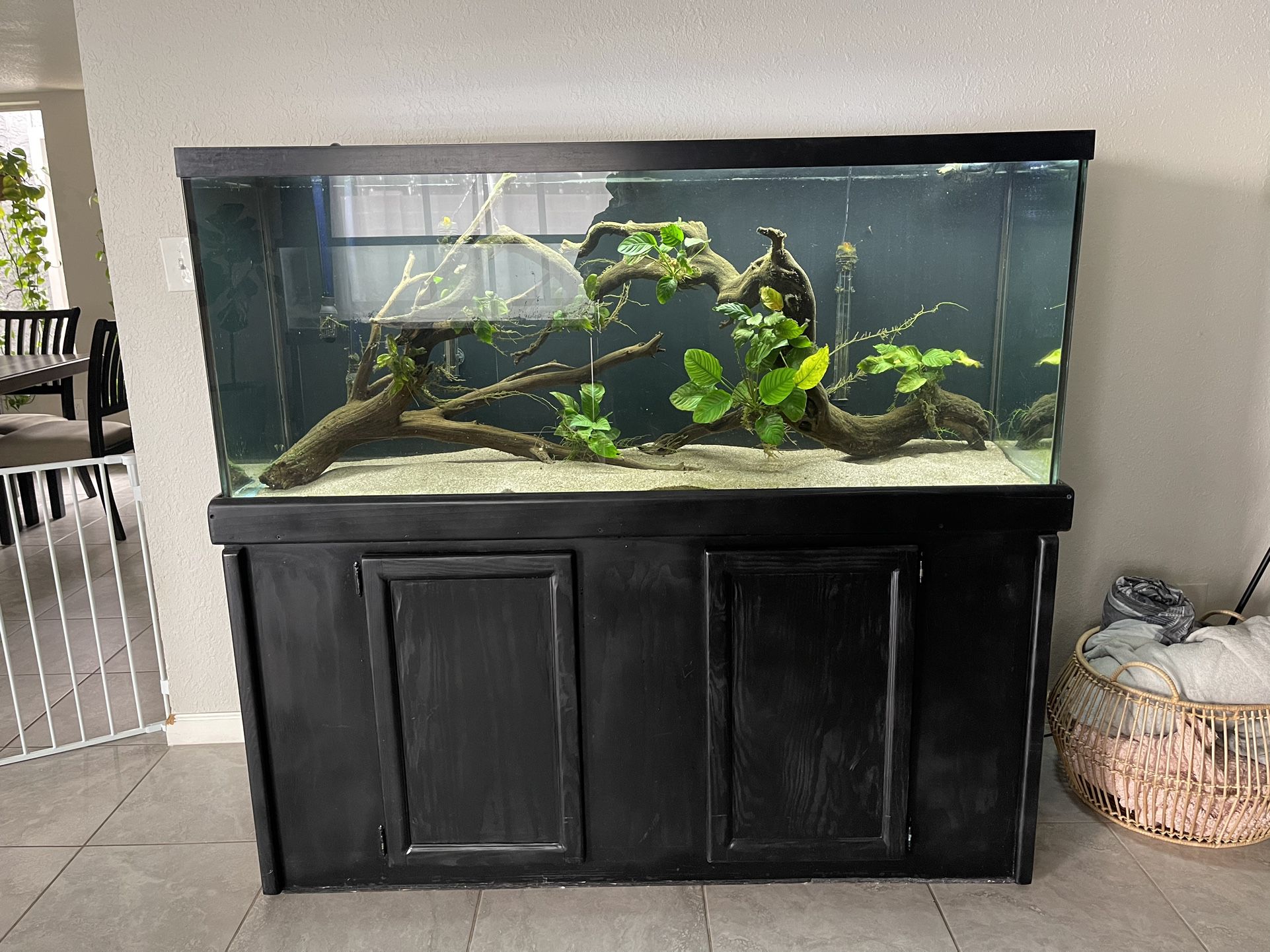 125 Gallon Fish Tank and Stand (Read Description)